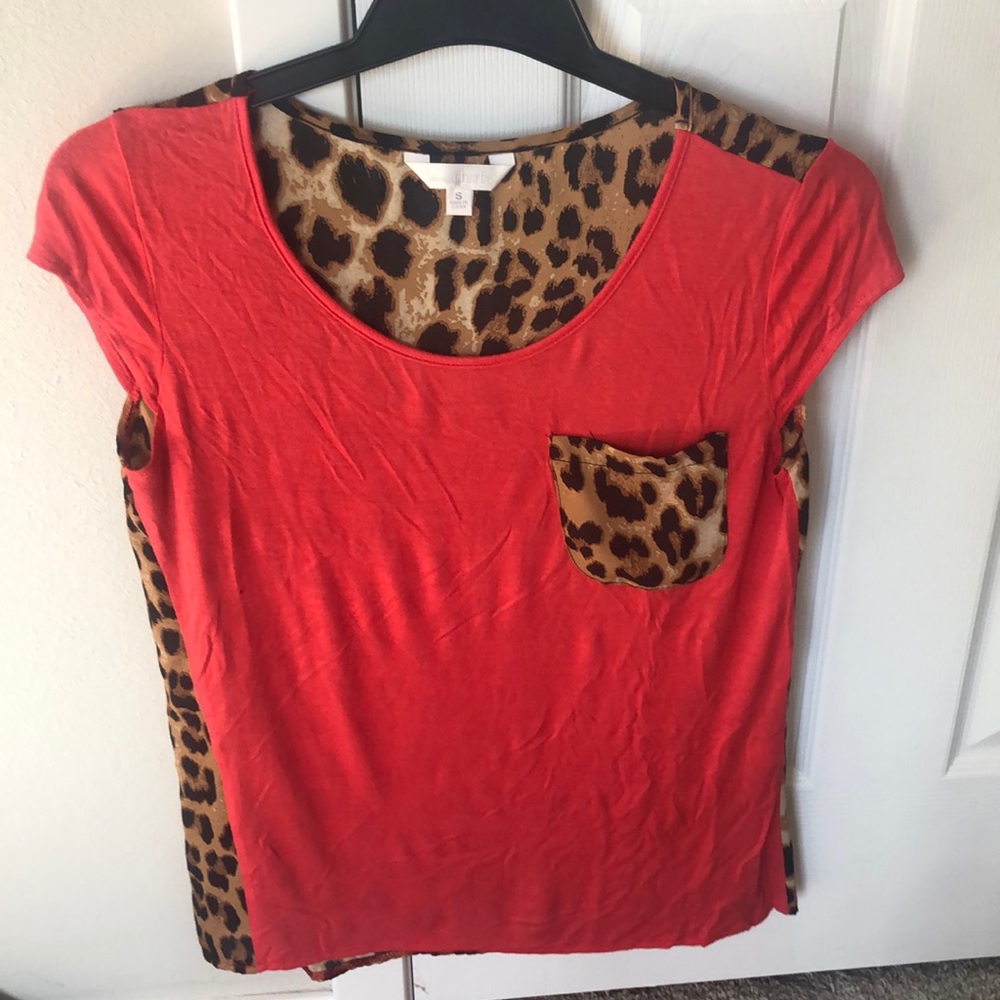 Fabulous shirt!